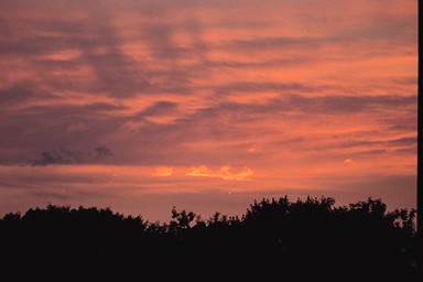 [Image 001233 cd10 img0024]