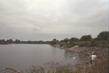 [Image 001249 cd10 img0040]
