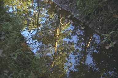 [Image 001272 cd10 img0063]