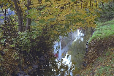 [Image 001277 cd10 img0068]