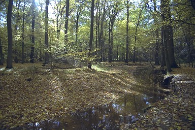 [Image 001282 cd10 img0073]