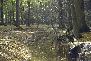 [Image 001283 cd10 img0074]