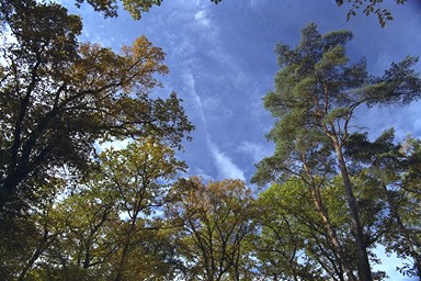[Image 001285 cd10 img0076]