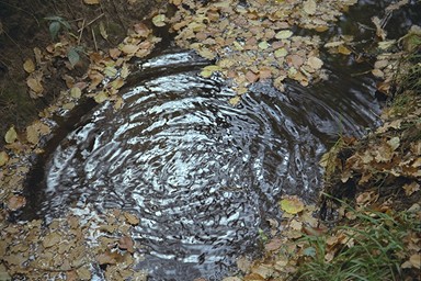 [Image 001286 cd10 img0077]