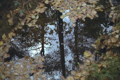 [Image 001287 cd10 img0078]