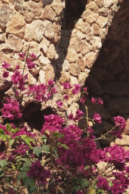 [Image 2000-04-02-33a]