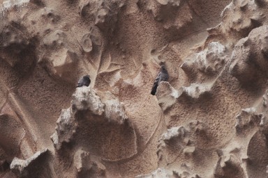 [Image 2000-04-05-16a]