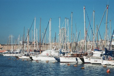 [Image 2000-04-11-19a]