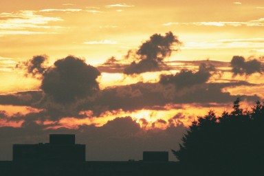 [Image 2001-02-04-09a]