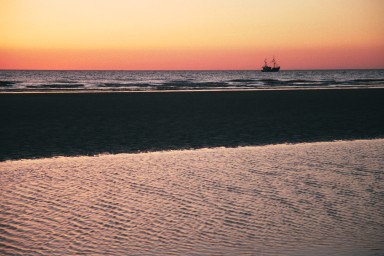 [Image 2001-03-03-06a]