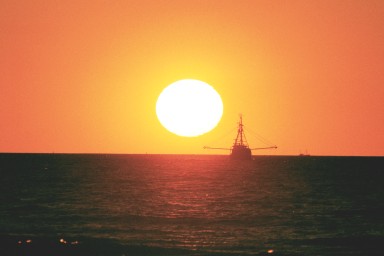[Image 2001-03-03-29a]