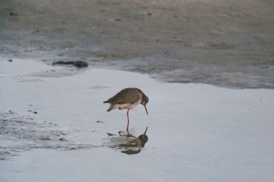 [Image 2001-03-05-10a]