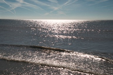 [Image 2001-03-06-05a]