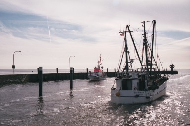 [Image 2001-03-08-14a]