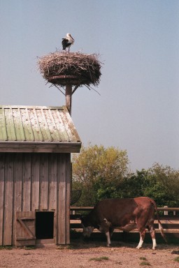 [Image 2001-03-09-17a]