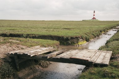 [Image 2001-03-10-05a]