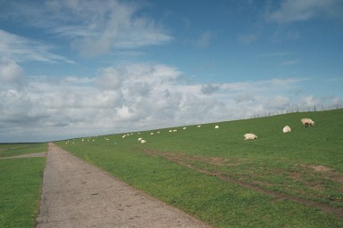 [Image 2001-03-10-33a]