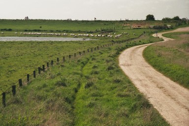 [Image 2001-03-11-12a]