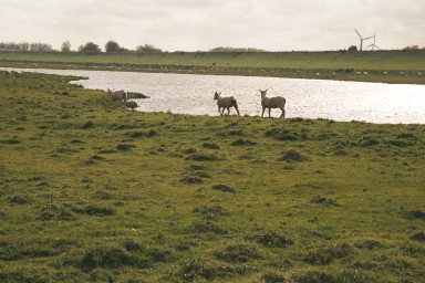 [Image 2001-03-12-18a]