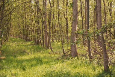 [Image 2001-03-12-29a]