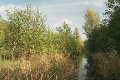 [Image 2001-03-12-30a]
