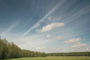 [Image 2001-03-12-35a]