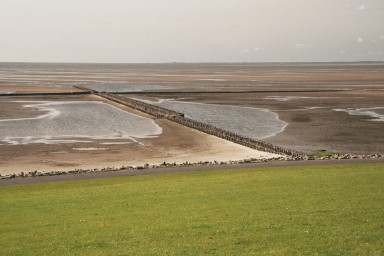[Image 2001-03-13-03a]