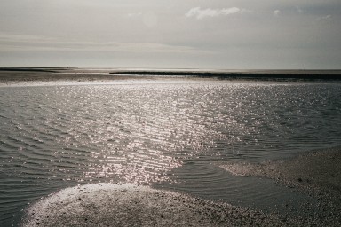 [Image 2001-03-13-07a]