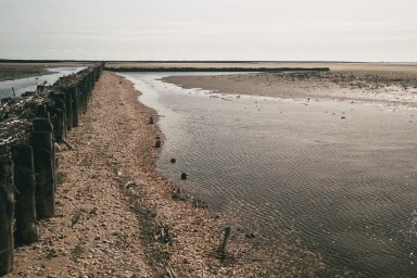 [Image 2001-03-13-09a]