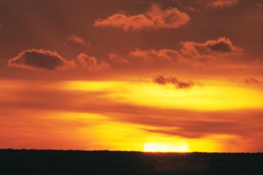 [Image 2001-03-14-23a]