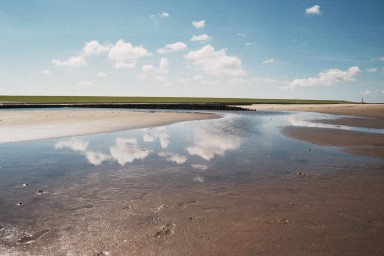 [Image 2001-03-15-30a]