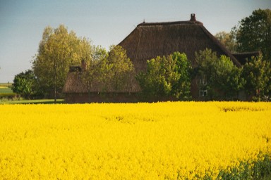 [Image 2001-03-16-15a]