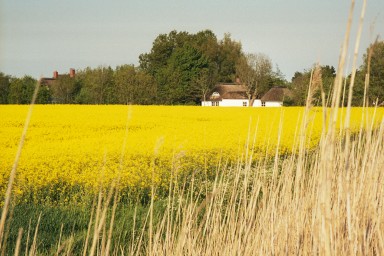 [Image 2001-03-16-21a]