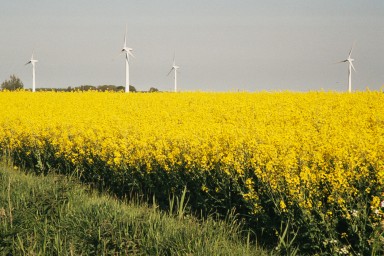 [Image 2001-03-16-28a]