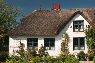 [Image 2001-03-16-30a]