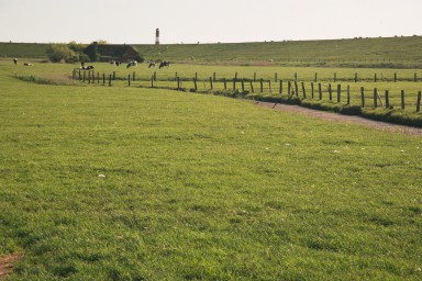 [Image 2001-03-17-02a]