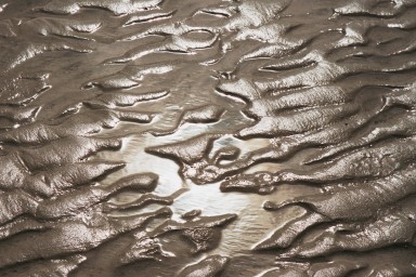 [Image 2001-03-17-34a]