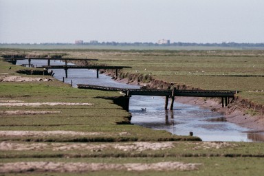 [Image 2002-03-02-12]