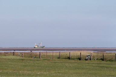 [Image 2002-03-02-14]