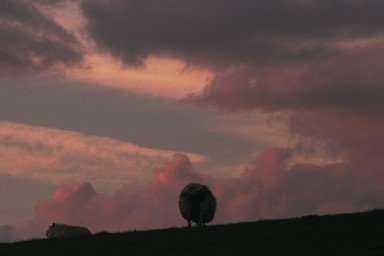[Image 2002-03-03-04]