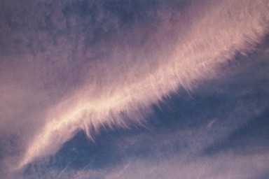 [Image 2002-03-03-12]