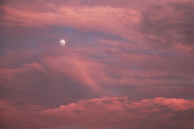[Image 2002-03-03-15]