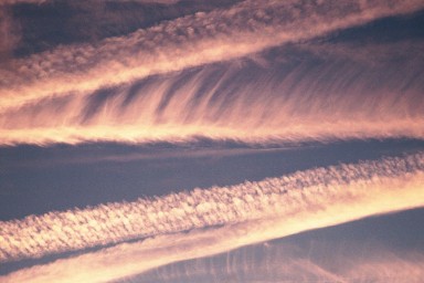 [Image 2002-03-03-17]