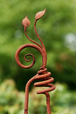 [Image 2002-03-04-11]