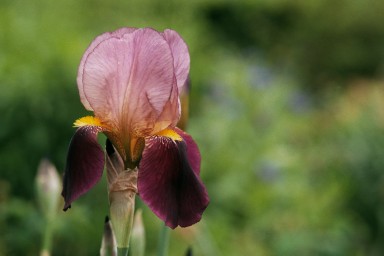 [Image 2002-03-04-12]