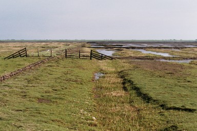[Image 2002-03-05-06]