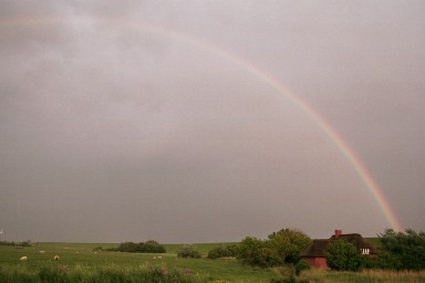 [Image 2002-03-05-22]