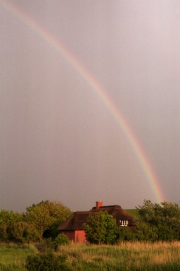 [Image 2002-03-05-24]