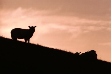[Image 2002-03-05-33]