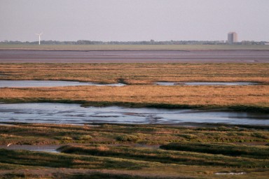[Image 2002-03-05-35]